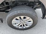 2025 Ford F-150 SuperCrew Cab 4x4 Pickup for sale #47175 - photo 9