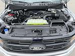 New 2025 Ford F-150 XLT SuperCrew Cab 4x4 Pickup for sale #63814 - photo 11