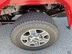 New 2025 Ford F-250 XLT Regular Cab for sale #82498 - photo 10