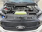 2025 Ford F-150 SuperCrew Cab 4x4 Pickup for sale #93084 - photo 14