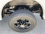 2024 Ford F-350 Regular Cab SRW 4x4 Pickup for sale #E44366 - photo 9