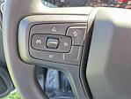 2025 Chevrolet Silverado 3500 Regular Cab 4x2 Cab Chassis for sale #F23636 - photo 14