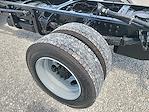 2024 Chevrolet Silverado 5500 Crew Cab DRW 4x2 Cab Chassis for sale #ZT21292 - photo 12