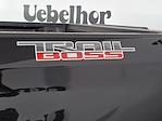 2023 Chevrolet Silverado 1500 Crew Cab 4WD Pickup for sale #ZT23562A - photo 6