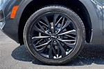 2023 Kia Seltos AWD SUV for sale #104532B - photo 10