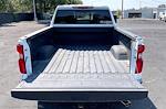 2023 Chevrolet Silverado 2500 Crew Cab 4WD Pickup for sale #104819B - photo 5