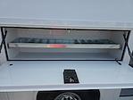 2025 Chevrolet Express 3500 Regular Cab RWD Service Utility Van for sale #105199 - photo 35