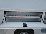 2025 Chevrolet Express 3500 Regular Cab RWD Service Utility Van for sale #105200 - photo 40