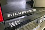 2023 Chevrolet Silverado 1500 Double Cab 4WD Pickup for sale #DX14941 - photo 9