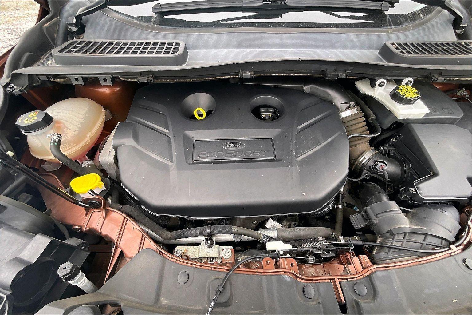 Used 2017 Ford Escape - photo 12