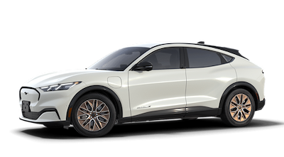 New 2024 Ford Mustang Mach-E - photo 1