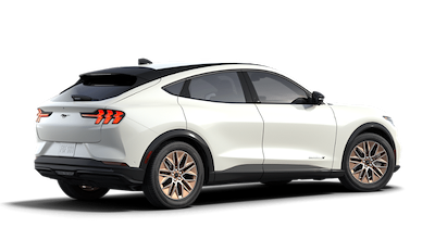 New 2024 Ford Mustang Mach-E - photo 1