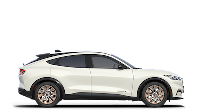 New 2024 Ford Mustang Mach-E - photo 1