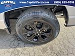 2023 Ford F-150 SuperCrew Cab 4WD Pickup for sale #AB62074 - photo 13