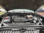 2024 GMC Sierra 1500 Crew Cab 2WD Pickup for sale #9AT9218 - photo 19