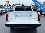 2023 Ford F-150 SuperCrew Cab 4x2 Pickup for sale #9ATC9037 - photo 19