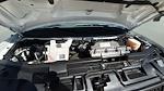 2023 Chevrolet Express 2500 RWD Empty Cargo Van for sale #9ATC9573 - photo 32