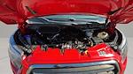 2020 Ford Transit 250 Medium Roof RWD Empty Cargo Van for sale #9ATC9836 - photo 31