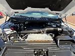 2023 Ford F-150 SuperCrew Cab 4WD Pickup for sale #9BN0136 - photo 19