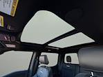 2025 Ford F-350 Crew Cab SRW 4x4 Pickup for sale #9C28163A - photo 19