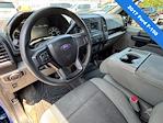 2017 Ford F-150 Regular Cab 4x2 Pickup for sale #9C75620B - photo 14