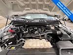 2023 Ford F-150 SuperCrew Cab 4x2 Pickup for sale #9C89866B - photo 19