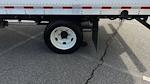 New 2025 Chevrolet LCF 5500XG Regular Cab Box Truck for sale #9CC12021 - photo 7