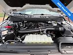 2024 Ford F-150 SuperCrew Cab 4x4 Pickup for sale #9CC25538A - photo 20