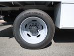 New 2024 Ford F-450 Regular Cab 12' Scelzi Contractor Truck for sale #CF424226 - photo 24