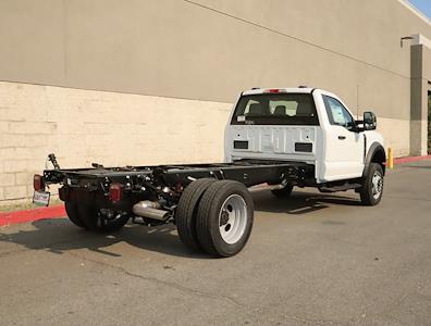 2024 Ford F-450 Regular Cab DRW 4x2 Cab Chassis for sale #CF424860 - photo 2
