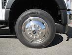 2024 Ford F-550 Regular Cab DRW 4x2 Cab Chassis for sale #CF524638 - photo 23