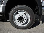2024 Ford F-550 Crew Cab DRW 4x2 Scelzi Landscape Dump for sale #CF524642 - photo 25