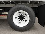 2024 Ford F-650 Crew Cab DRW 4x2 Scelzi Landscape Dump for sale #CF624152 - photo 25