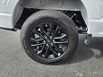 New 2025 Ford F-150 XLT SuperCrew Cab 4WD Pickup for sale #F125299 - photo 31