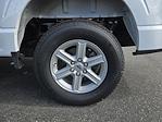 2025 Ford F-150 SuperCrew Cab 4WD Pickup for sale #F125313 - photo 31