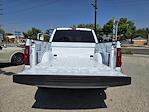 New 2025 Ford F-150 STX SuperCrew Cab Pickup for sale #F125337 - photo 26