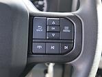 2024 Ford F-250 Crew Cab 4x4 Pickup for sale #F224111 - photo 10