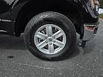 2024 Ford F-150 Regular Cab 4x4 Pickup for sale #PL3080 - photo 30