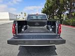 2024 Ford F-150 Regular Cab 4x2 Pickup for sale #PL3235 - photo 25