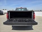 2025 Ford F-150 Regular Cab RWD Pickup for sale #PL4216 - photo 24