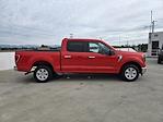 2023 Ford F-150 SuperCrew Cab RWD Pickup for sale #TL3925 - photo 2
