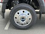 New 2025 Ford F-450 Regular Cab Cab Chassis for sale #C251515 - photo 7