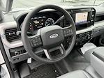 New 2025 Ford F-600 Regular Cab Cab Chassis for sale #C252519 - photo 11