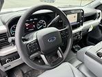 2025 Ford F-550 Crew Cab DRW 4WD Landscape Dump for sale #C252816 - photo 12