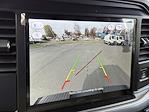 New 2025 Ford F-150 XLT SuperCrew Cab for sale #C253362 - photo 14