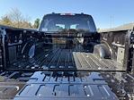 New 2025 Ford F-150 XLT SuperCrew Cab for sale #C253380 - photo 11