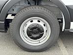 New 2026 Ford Transit 250 Low Roof Empty Cargo Van for sale #C260663 - photo 10