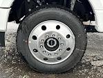 New 2026 Ford F-450 Platinum Crew Cab for sale #C260947 - photo 9