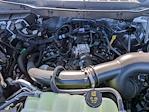 2025 Ford F-150 SuperCrew Cab 4WD Pickup for sale #22-3702 - photo 26