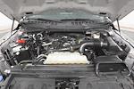 2023 Ford F-150 SuperCrew Cab 4WD Pickup for sale #254438A - photo 34